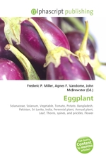 Eggplant