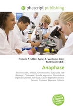 Anaphase