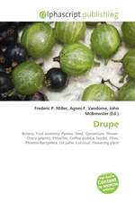 Drupe