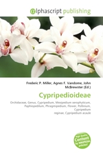 Cypripedioideae