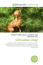 Chihuahua (dog)