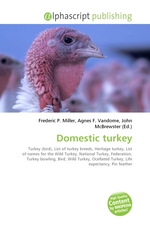 Domestic turkey