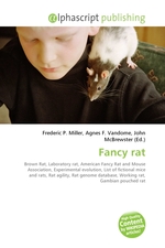 Fancy rat