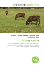 Angus cattle