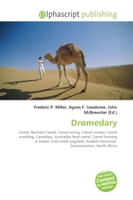 Dromedary