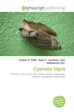 Cypraea tigris