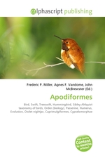 Apodiformes