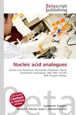 Nucleic acid analogues