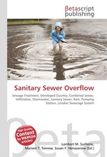 Sanitary Sewer Overflow