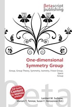 One-dimensional Symmetry Group