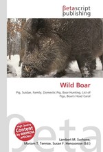 Wild Boar