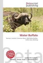 Water Buffalo