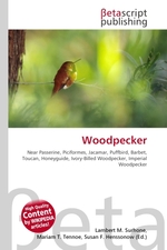 Woodpecker