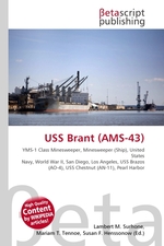 USS Brant (AMS-43)