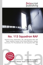 No. 113 Squadron RAF