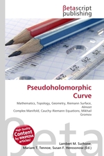 Pseudoholomorphic Curve