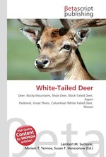 White-Tailed Deer