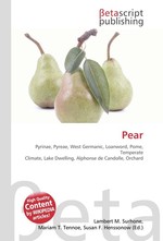 Pear