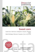 Sweet corn