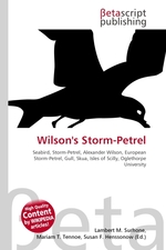 Wilsons Storm-Petrel