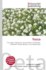 Yucca