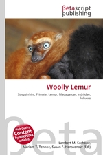 Woolly Lemur