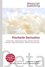 Pincherle Derivative