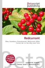 Redcurrant