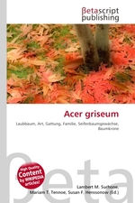 Acer griseum