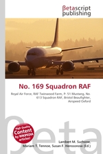 No. 169 Squadron RAF