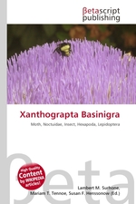 Xanthograpta Basinigra