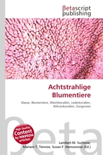 Achtstrahlige Blumentiere