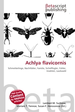 Achlya flavicornis