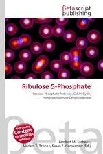 Ribulose 5-Phosphate