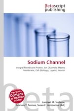 Sodium Channel