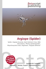 Argiope (Spider)