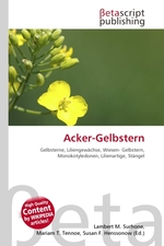 Acker-Gelbstern