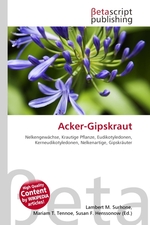 Acker-Gipskraut