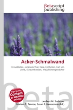 Acker-Schmalwand