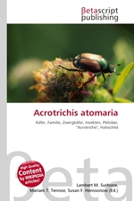 Acrotrichis atomaria