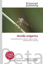 Acrida ungarica