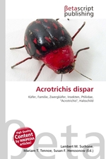 Acrotrichis dispar