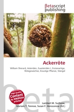 Ackerroete