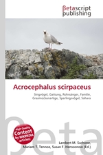 Acrocephalus scirpaceus