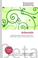 Ackersalat