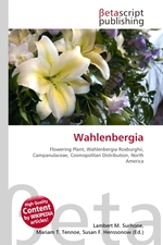 Wahlenbergia