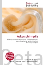 Ackerschirmpilz