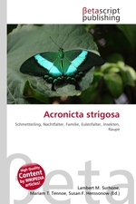 Acronicta strigosa