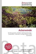 Ackerwinde