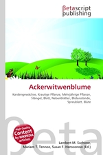 Ackerwitwenblume